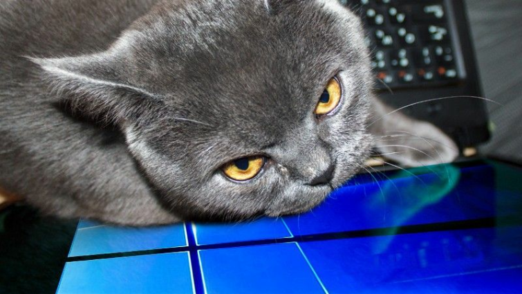 VPN روی ویندوز کار نمی کند