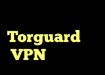 آیا عملکرد پروکسی Torguard شبیه VPN دوگانه است؟
