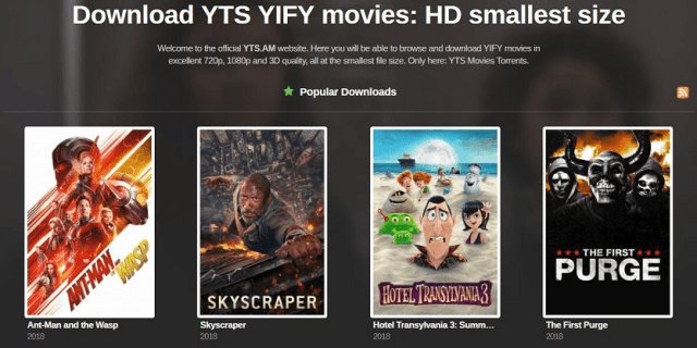   سایت آینه YTS 