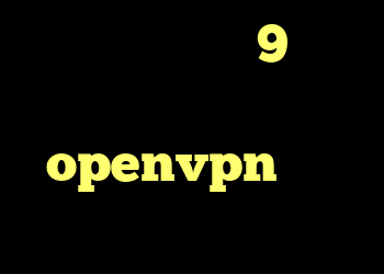 خرید دی وی دی 9 گیگ کانکشن رایگان openvpn کریو پارس کریون شکارچی